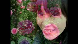 20100316清境.wmv