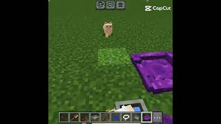 These cats are soo CUTE 🥰 #minecraftmod #Fypp #CUTE #Cats