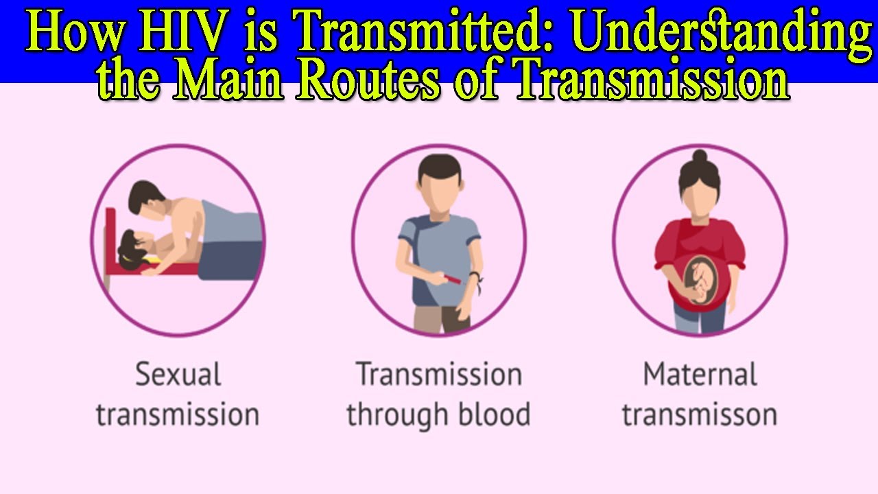 How HIV is Transmitted: Understanding the Main Routes of Transmission ...