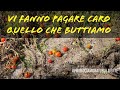 Quello che noi buttiamo lo vendono caro