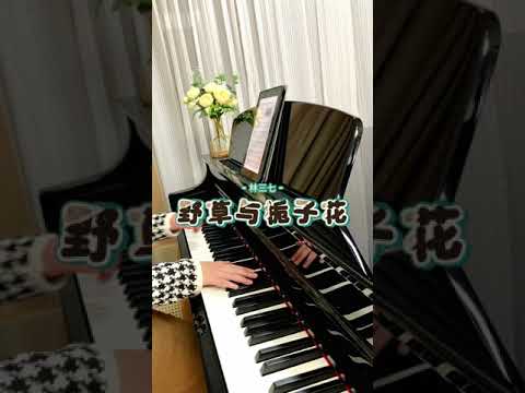 Wild Grass and Gardenia (野草与栀子花) (Piano Solo) - Lin Sanqi (林三七)