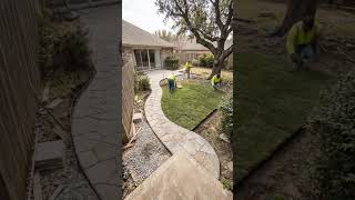 Backyard Was Dead — Now It's Our Favorite Room | Outdoor Renovation #gardenideas