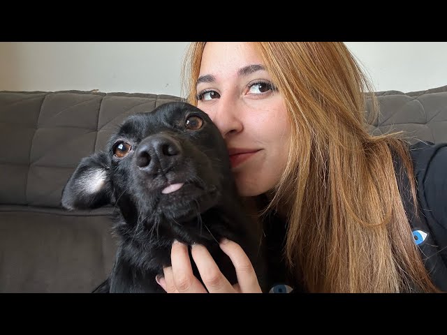 ASMR caseirinho - tapping e sons de escova. (fazendo carinho no meu cachorro 🖤).