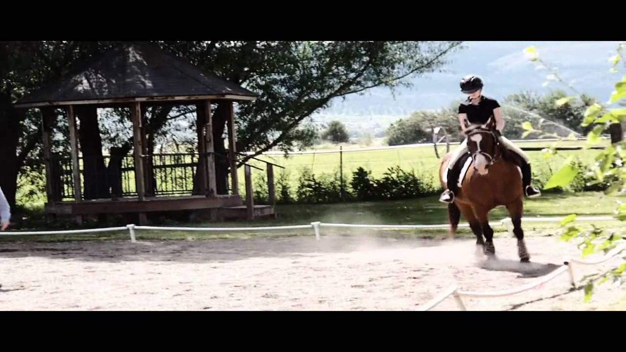 I love the way the stars shine for you; Poco