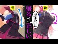 【解説】"盛った"ファンアートは肖像画の歴史的に正しい!【赤月ゆに】