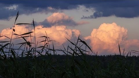 وَلِلَّذِينَ كَفَرُوا بِرَبِّهِمْ عَذَابُ جَهَنَّمَ ۖ وَبِئْسَ الْمَصِيرُ (سورة الملك)