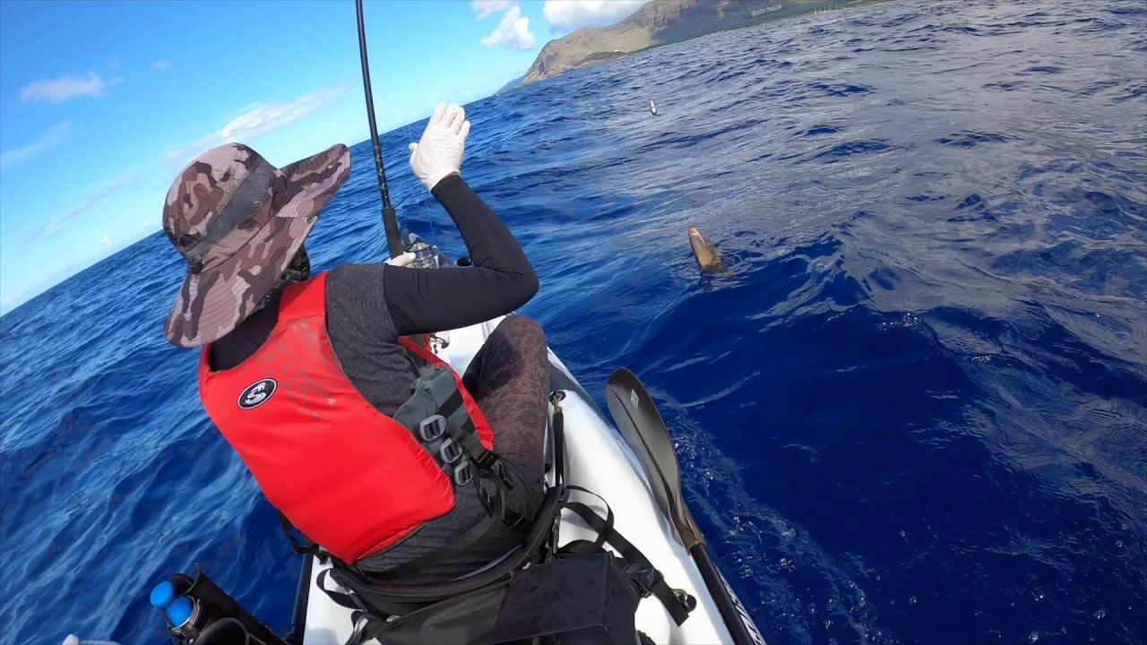 [Kayak Fishing in Hawaii]ハワイアンモンクシールもビックリ！＠ハワイでカヤックフィッシング！エンジン付いてます