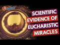 Scientific Evidence of Eucharistic Miracles | The Catholic Talk Show