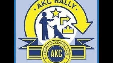 AKC Virtual Rally Intermediate Course #1