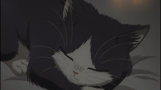 Люби Меня Люби Гречка Buinovushka