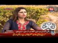 What Federal Govt. doing to fail KPK govt. Imran Khan reveals