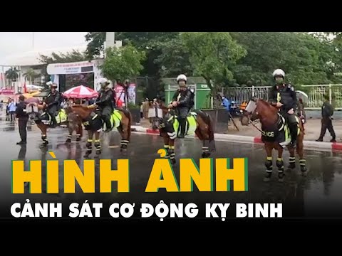 Video Thích thú ngắm dàn Cảnh sát cơ động kỵ binh bảo vệ an... - youtube
