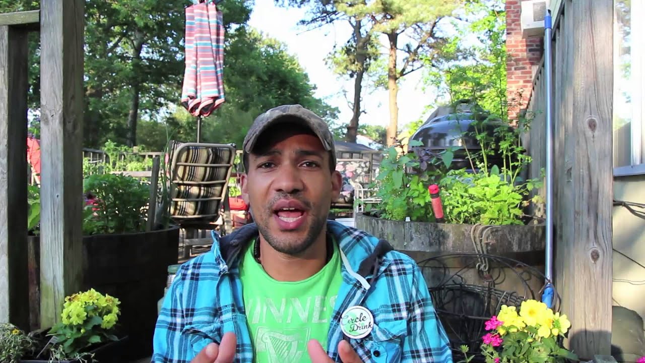 Польза для здоровья и не только