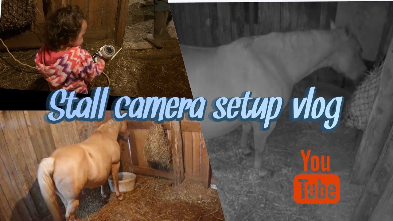 Horse stall camera setup vlog. YouTube