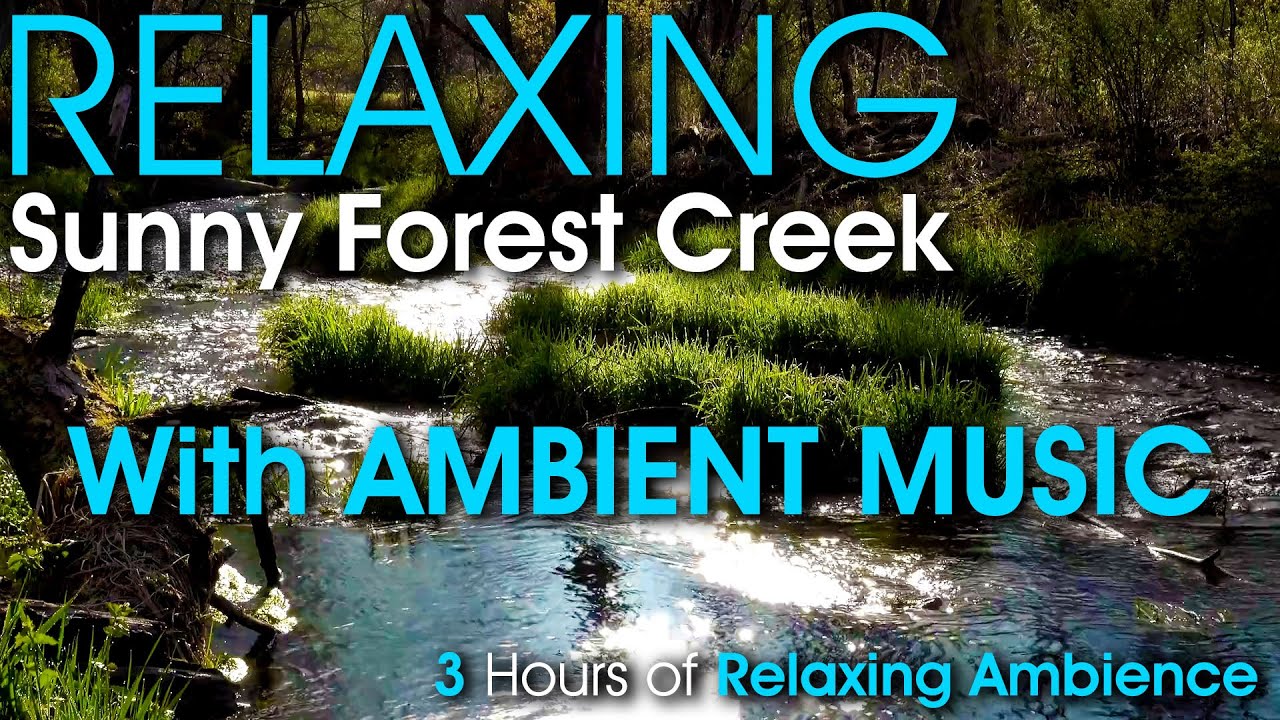 3 Hour Relaxing Beautiful Sunny Forest Creek with Soothing Sounds of ...