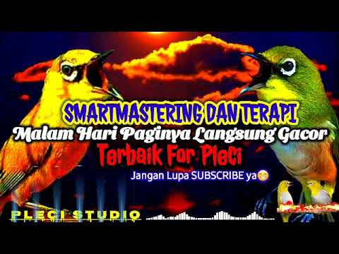 SmartMastering PLECI Malam Hari Lebih Efektif Mudah Masuk