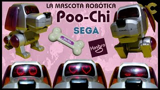 ¡RECUERDO DESBLOQUEADO! 🔓 perro 🐶 POO-CHI 🤖 del año 2000 😲 | Hasbro | SEGA | Tiger | Español