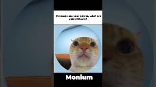 @gelnox @monium @MrUnknownXD @Cyall @MemeMandir