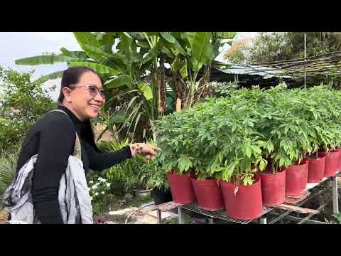 Chúc mừng anh chị 3 có chỗ đậu xe