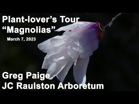 Видео: IJSC "Magnolia" ирээдүйтэй. Түүний талаар юу мэддэг вэ?