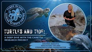 Turtles and Tide: A Deep Dive with the Caretta Research Project