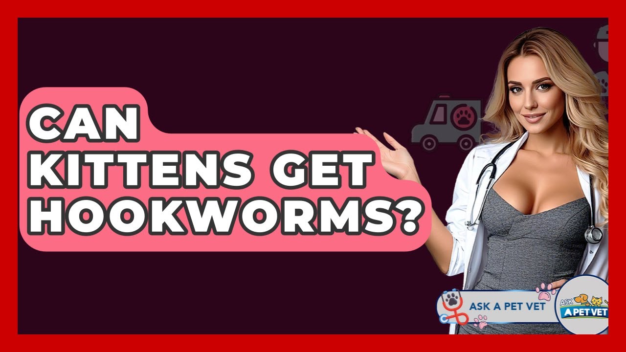 Can Kittens Get Hookworms? - Ask A Pet Vet