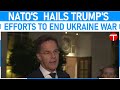 NATO'S Rutte hails Trump's efforts to end Ukraine war