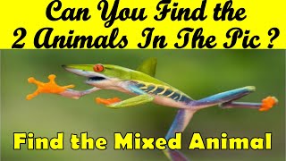Mixed Up Animals Quiz| Mixed Up Animals Game| 2 Animals In One Picture| Find The Animal In Picture screenshot 5