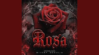 Rosa - Motivational Station, Sidney Scaccio