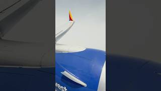 Southwest: from desert air to Miami humidity. #fly #food #lasvegas #miami #dessert #travel #hotel