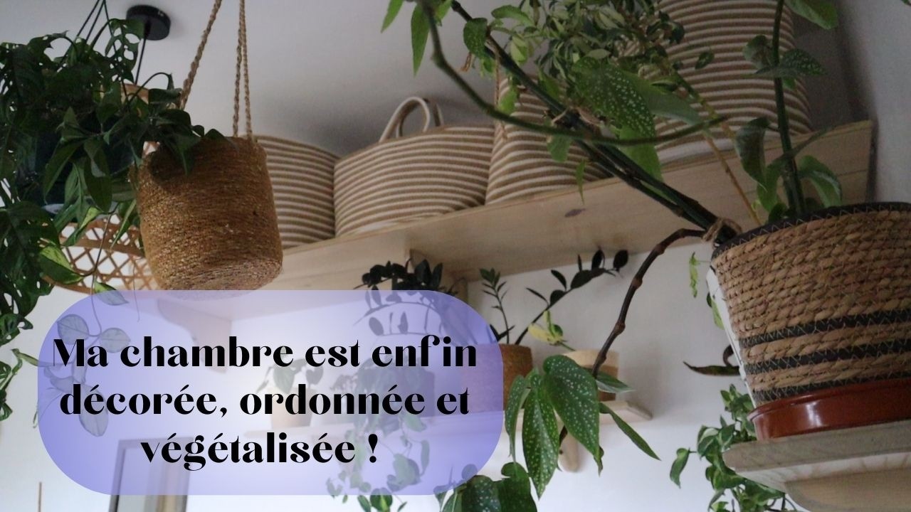JE RÉAMÉNAGE MON APPARTEMENT DE 42 m2 ✨ MA CHAMBRE VÉGÉTALE EST TERMINÉE !!! 🌿(partie 3)
