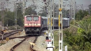 Crazy Dog coming infront of KSR - Chennai Central SF Express hauled With WAP4 ET 22953 screenshot 4