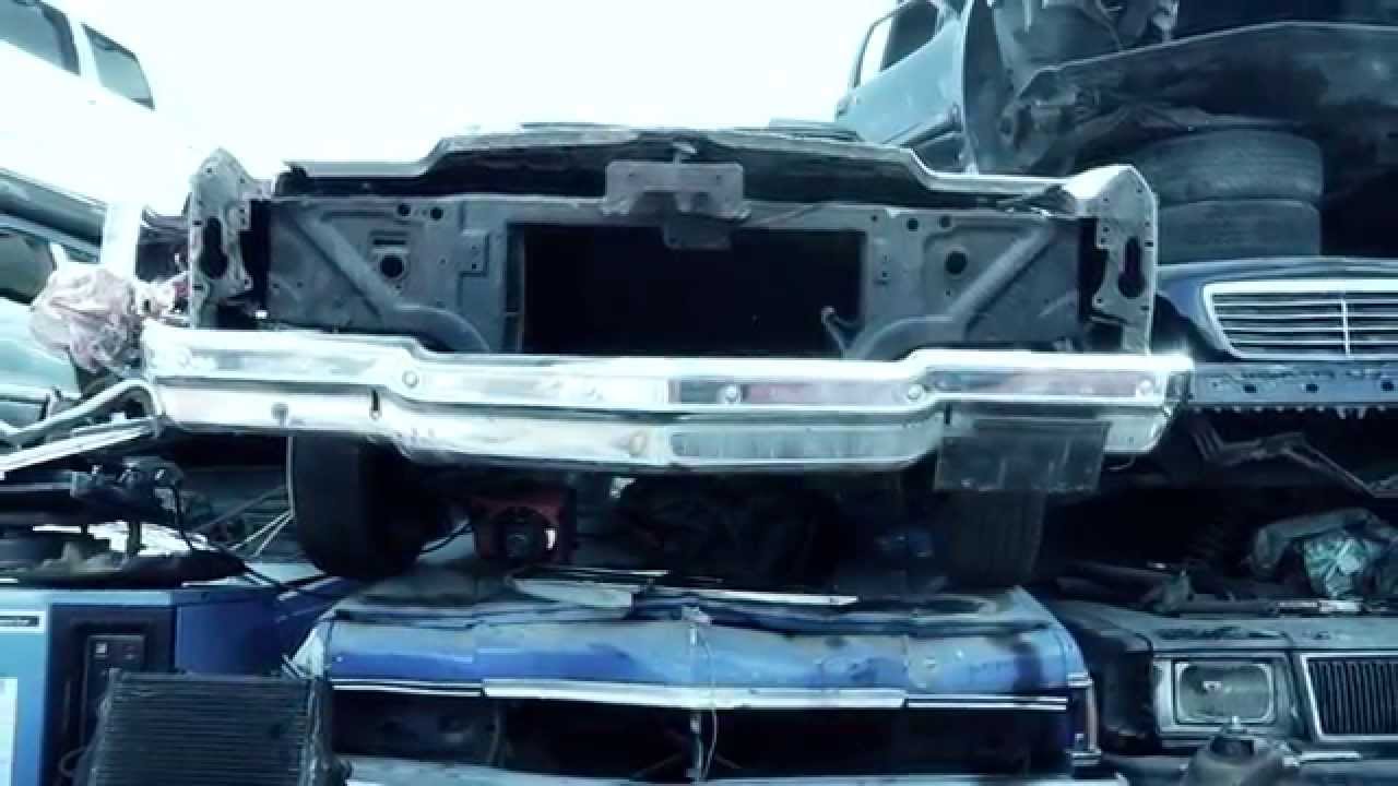 The Bears Documentary Part 2: Final Trailer