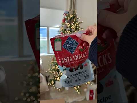 Gifts for Pets from Chewy 🐾 🎁 | Chewy Christmas haul