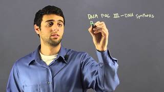 What Is the Enzyme That Controls the Copying of DNA? : The Marvels of Cells & DNA
