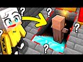 COSA NASCONDONO le SCALE in DIAMANTE del VILLAGER in Minecraft?