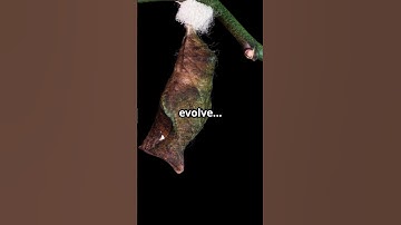 Unlock Your Power: Transform Self-Limiting Beliefs Now! #LimitlessPotential #Transformation #Beliefs