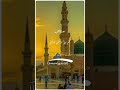 سورۃ التوبہ with Urdu translation of Islamic video #trendingshorts