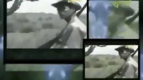 Eritrean music. Wedi tukabo. Hagerey. ሃገረይ ንመን ተፍቅሪ