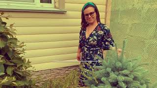 картинка: У Алены в гостях. Коллекционер хост. 05.06.2022.#Волгоград #Хоста #коллекционер#