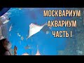 Москвариум, Аквариум часть1