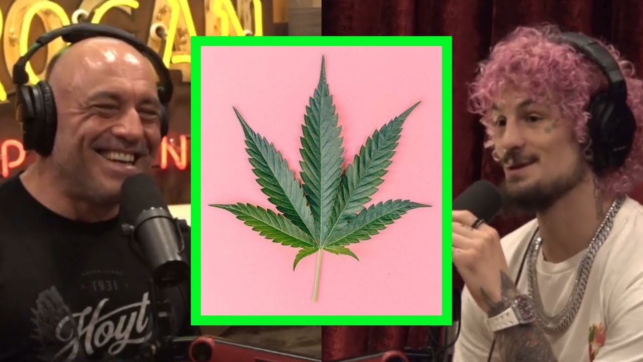 Sean O’Malley’s First Time Smoking Weed