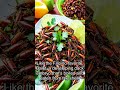 The Weirdest Dishes You'll Ever Try: A 1-Minute Culinary Adventure