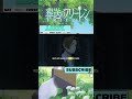 Frieren Anime Recapped ep-15 Part-1 #frieren #anime #recaps #animerecaps#biel# #animeshorts #sehar