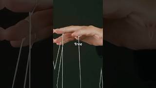 Why Free Will Might Be An Illusion shorts