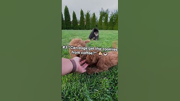 🦄 Top 10 Funniest Google Autocomplete Fails 🔍