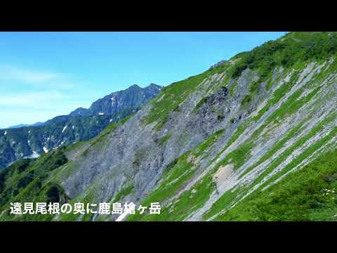 白馬八方池トレッキング