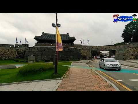 수원 맛집  수원만두 food trip Suwon the best Chinese dumplings