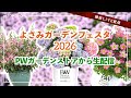 【よさみガーデンフェスタ】出張！PWガーデンストアから生配信【愛知県刈谷市】