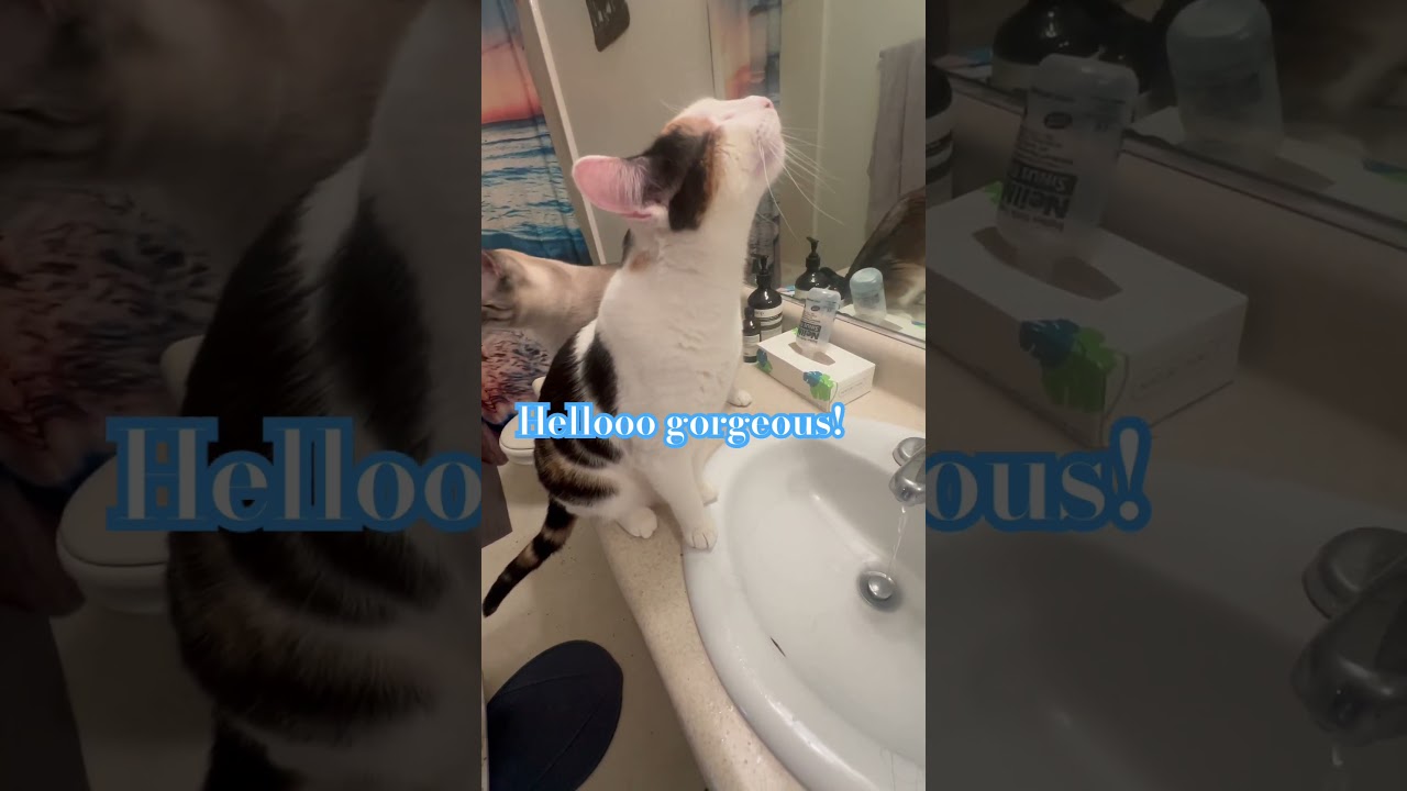 Hello gorgeous! 😻 